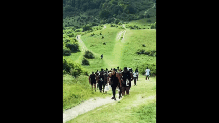 SS 6.gif