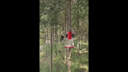 OAG 5.gif