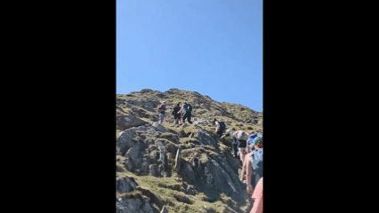 OAG 4.gif