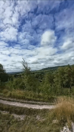 HU 4.gif