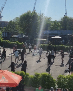 TDC 3.gif