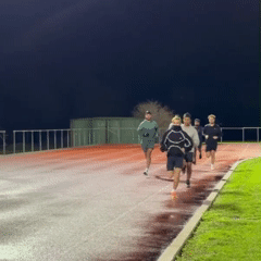OZ 4.gif