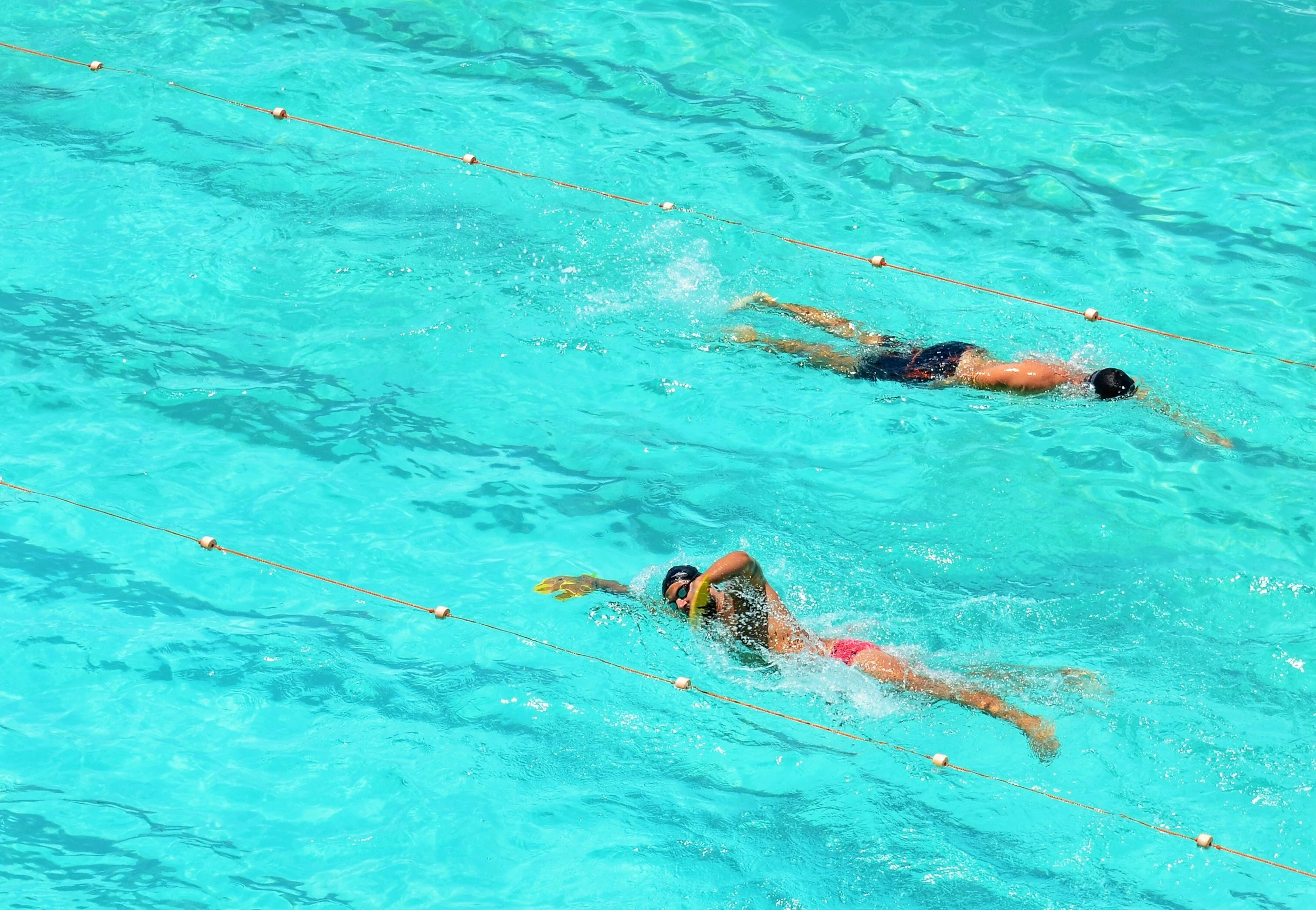 Swimming
