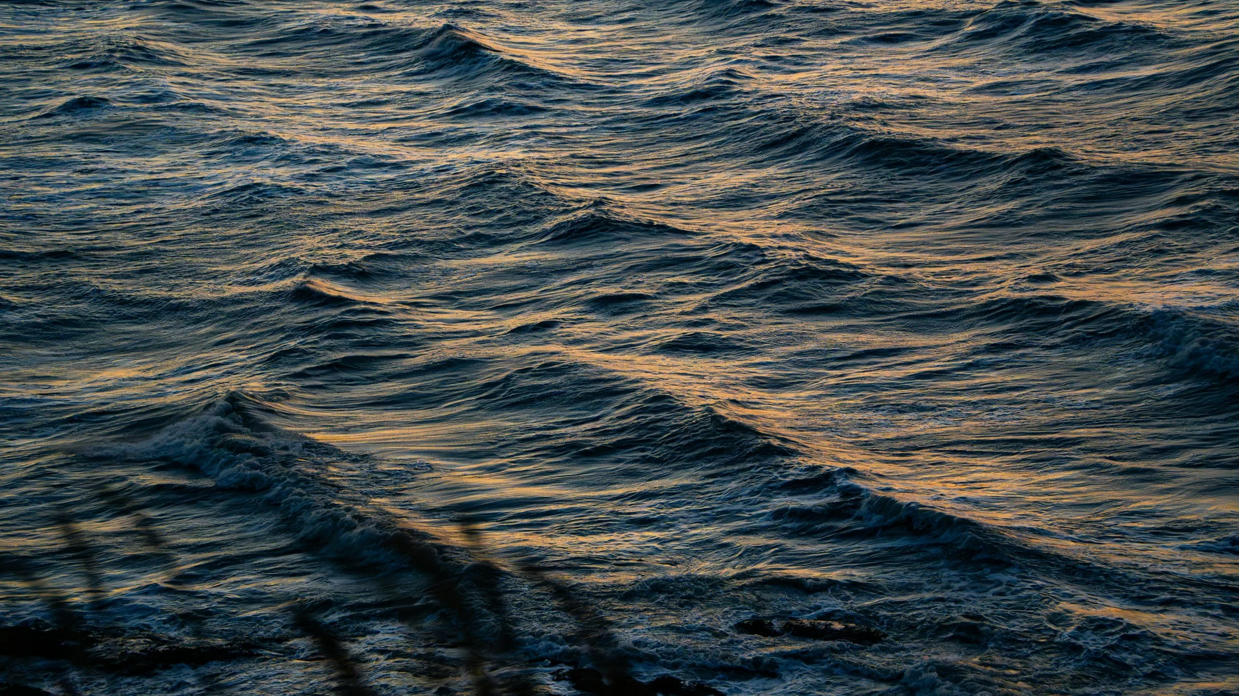 unsplash-image-0KqzolonYUQ.jpg