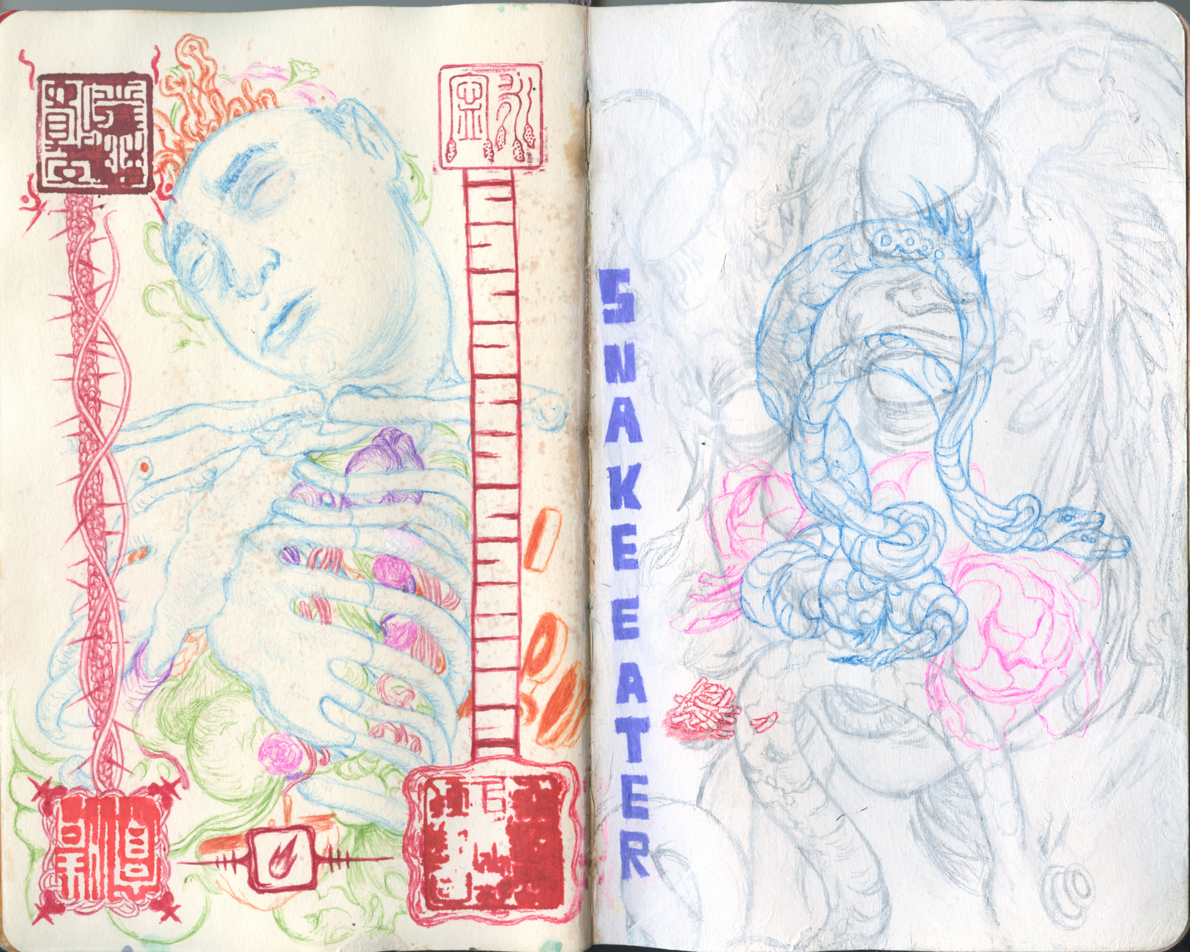 Scan 71.png