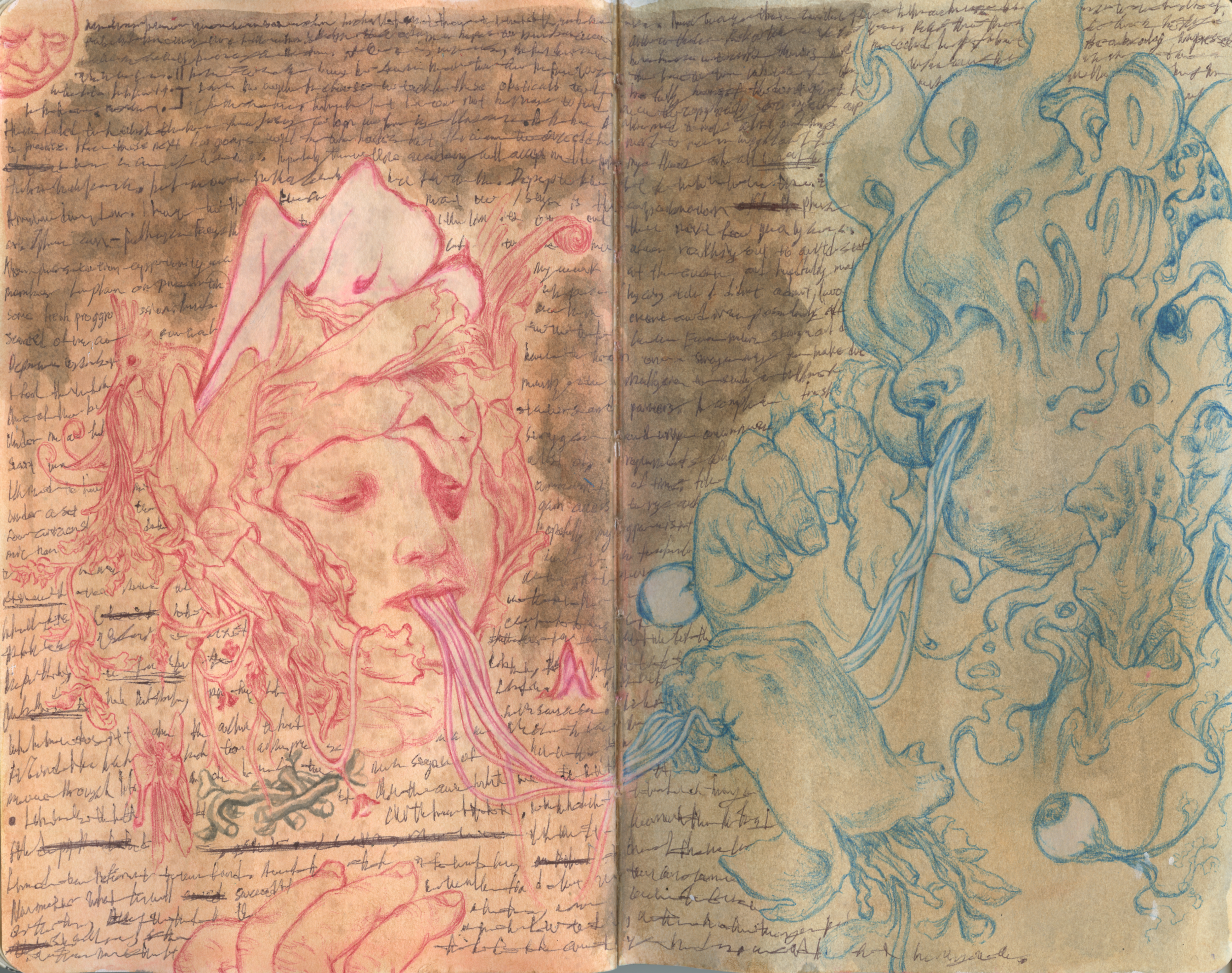 Scan 65.png