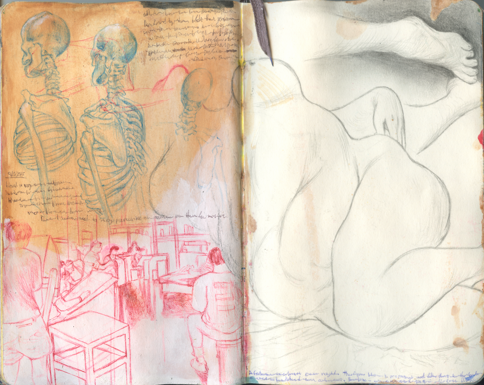 Scan 49.png