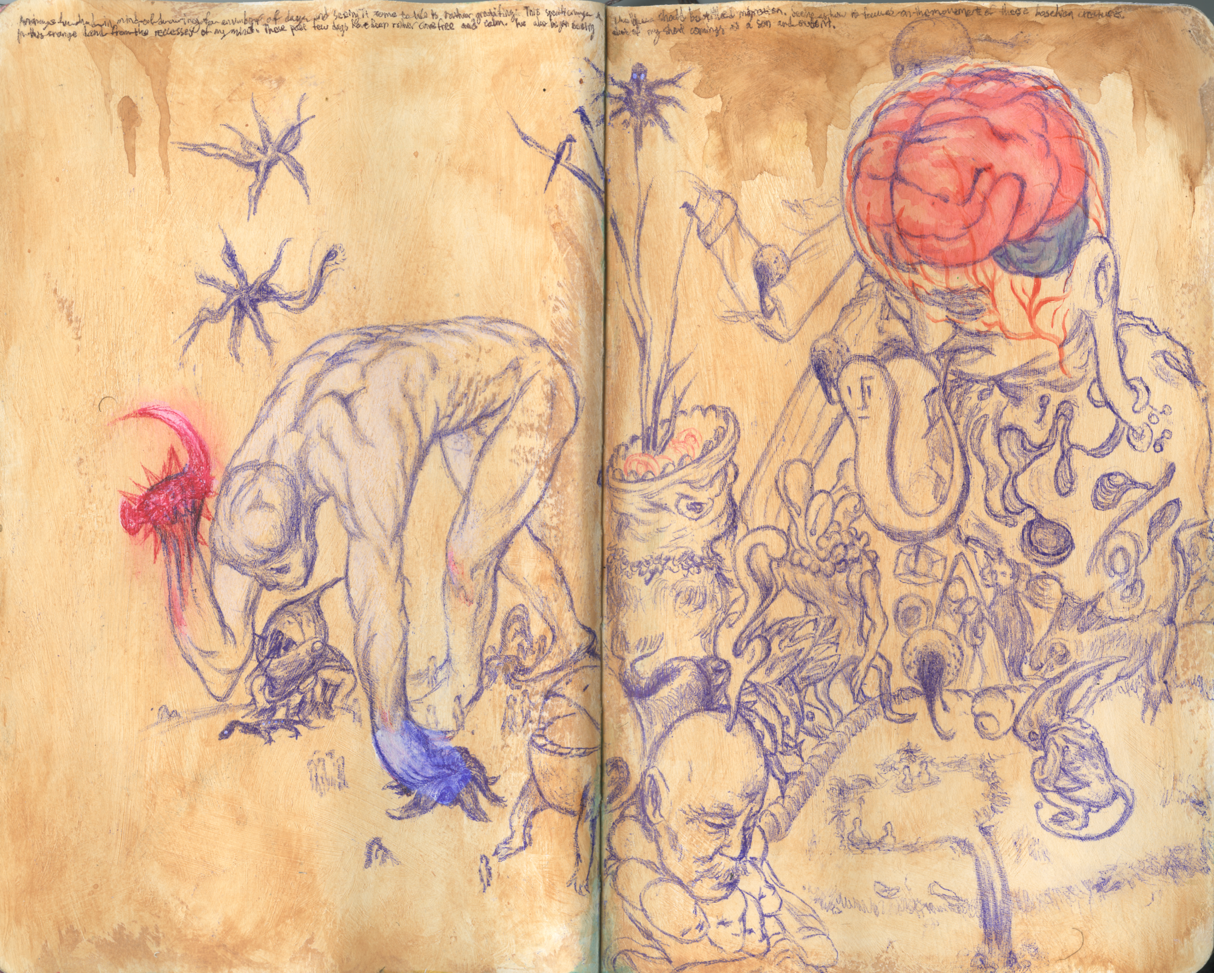 Scan 54.png