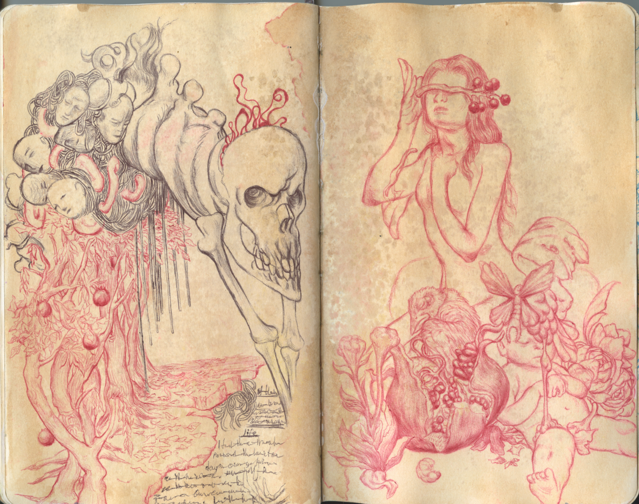 Scan 72.png