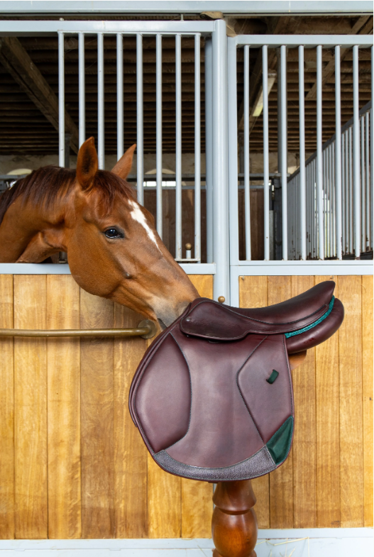 POURQUOI CHOISIR UNE SELLE SUR MESURE ?