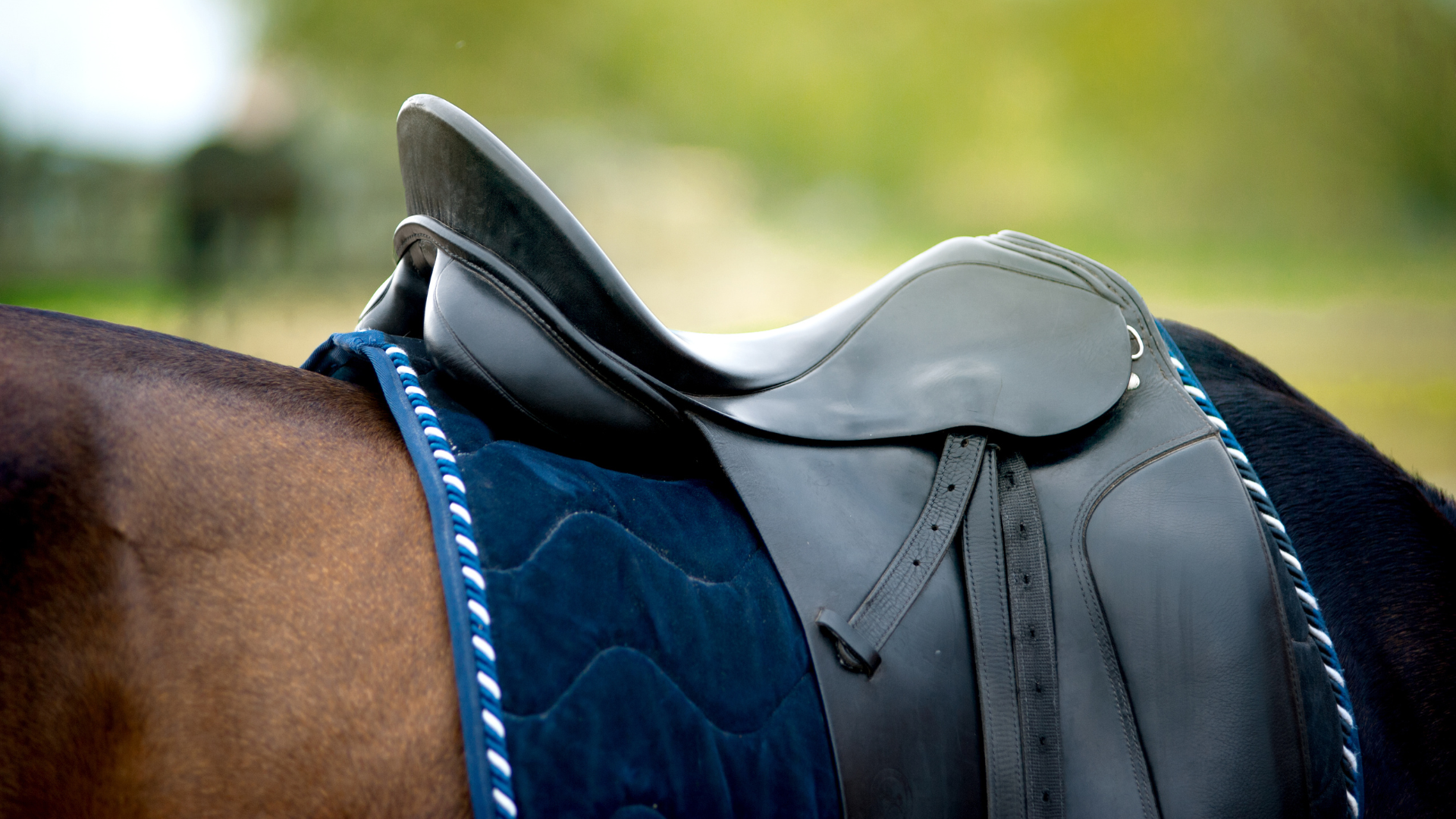 Guide complet d’une selle de dressage sur mesure