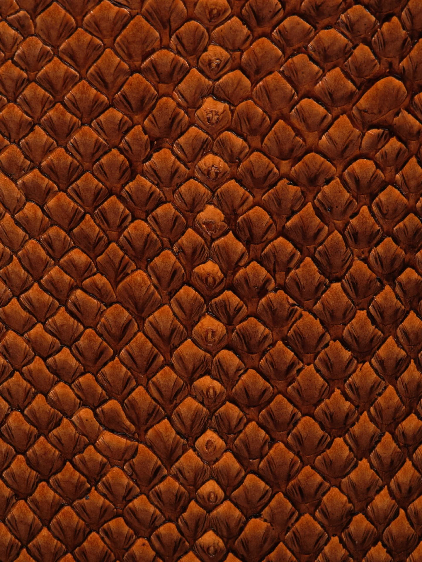 Texture en écailles brunes d'un animal, probablement un reptile ou un poisson.