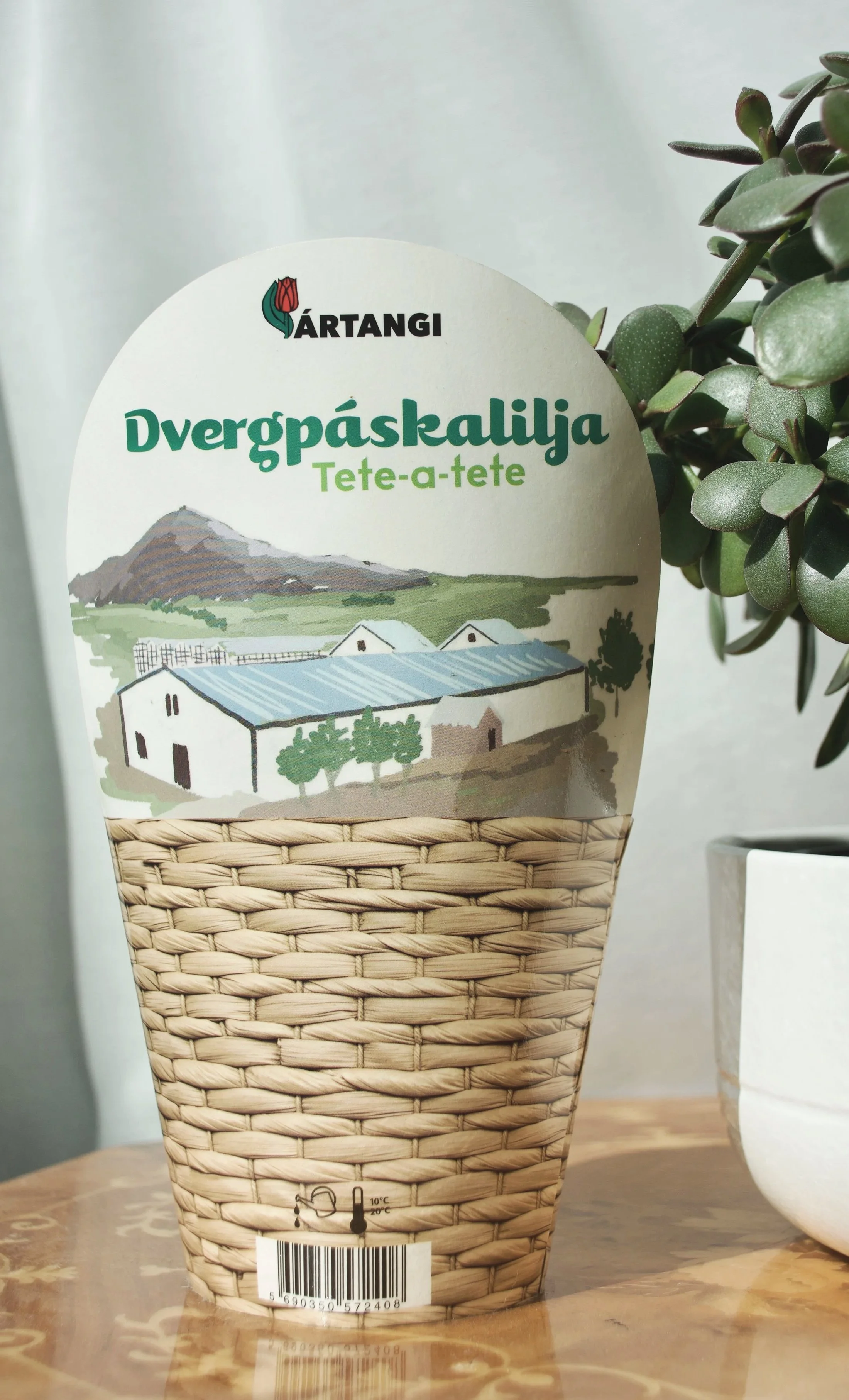 Ártangi packaging design, 2026