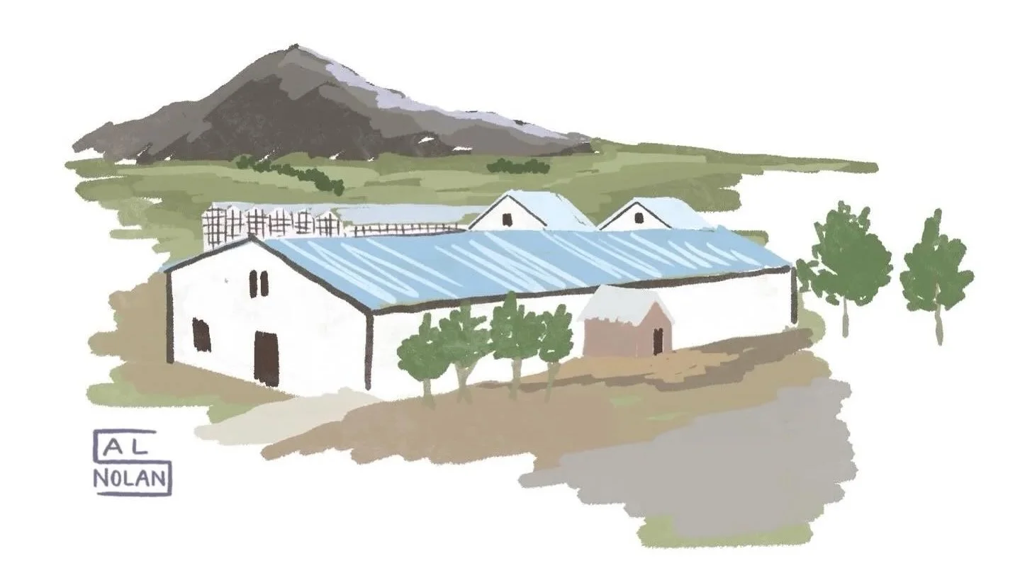 Ártangi Project