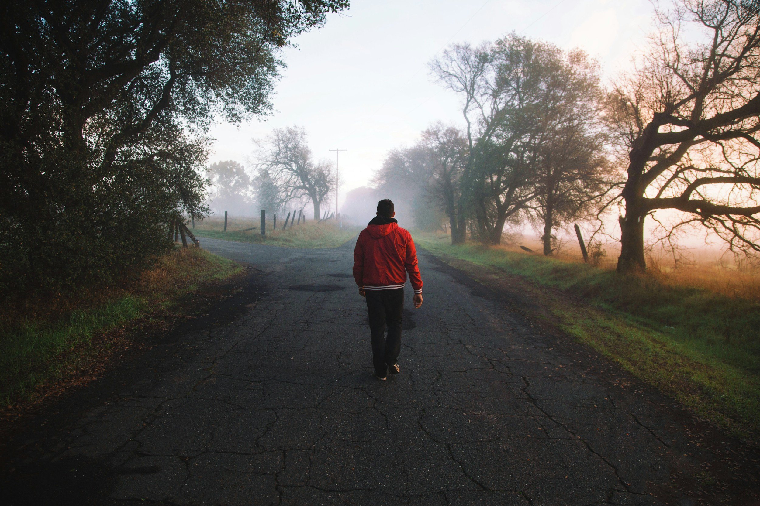 A person in a red jacket walking down a cracked rural road lined with trees, during early morning or late evening with mist and soft sunlight.