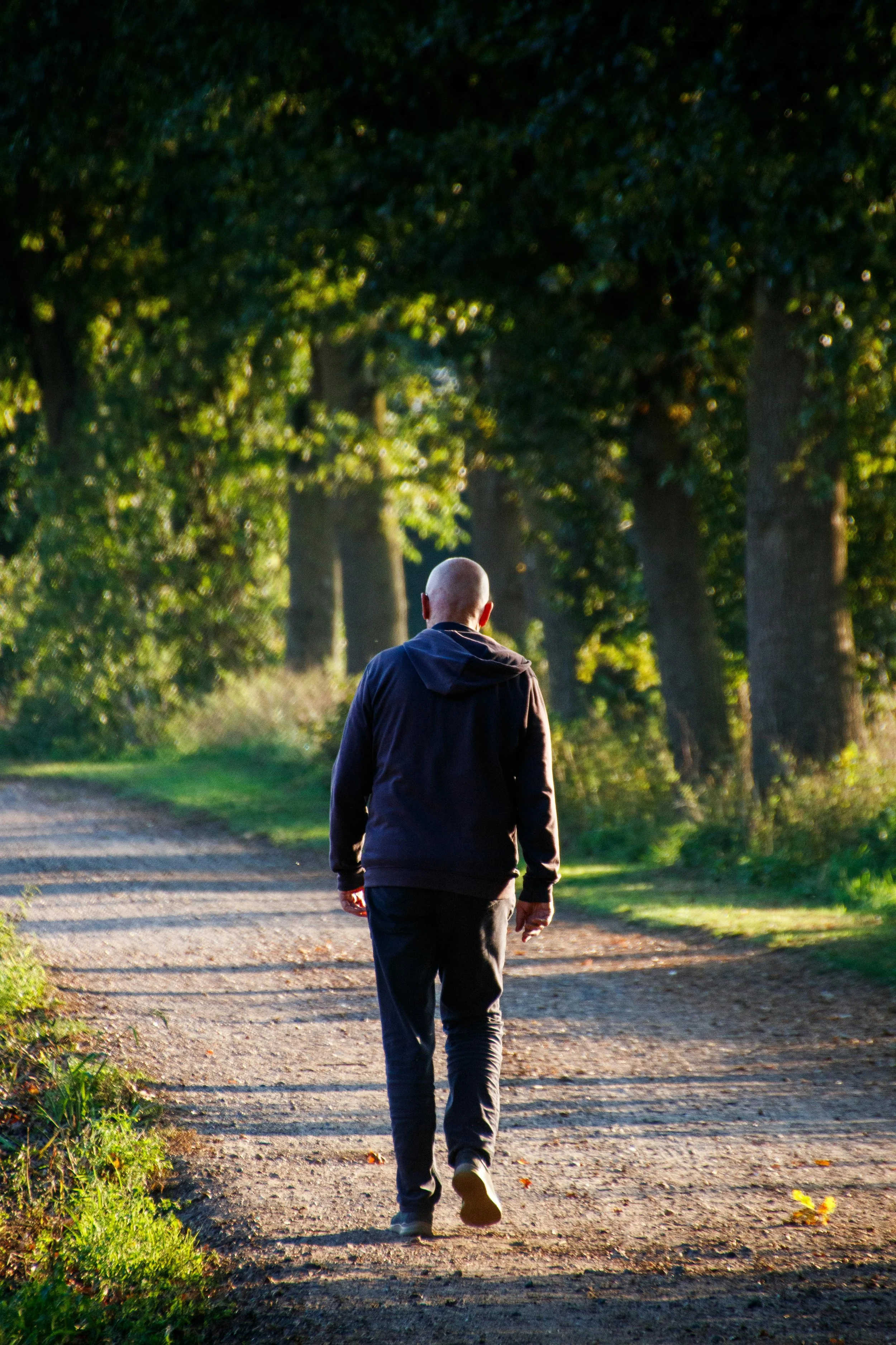 A person walking along a dirt path shaded by large trees on either side, with sunlight filtering through the leaves.