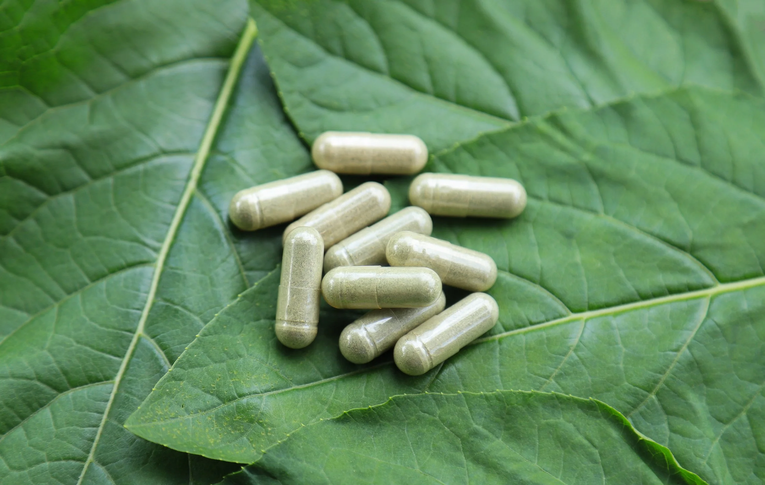 White capsules pills on green leaves with prominent veins.