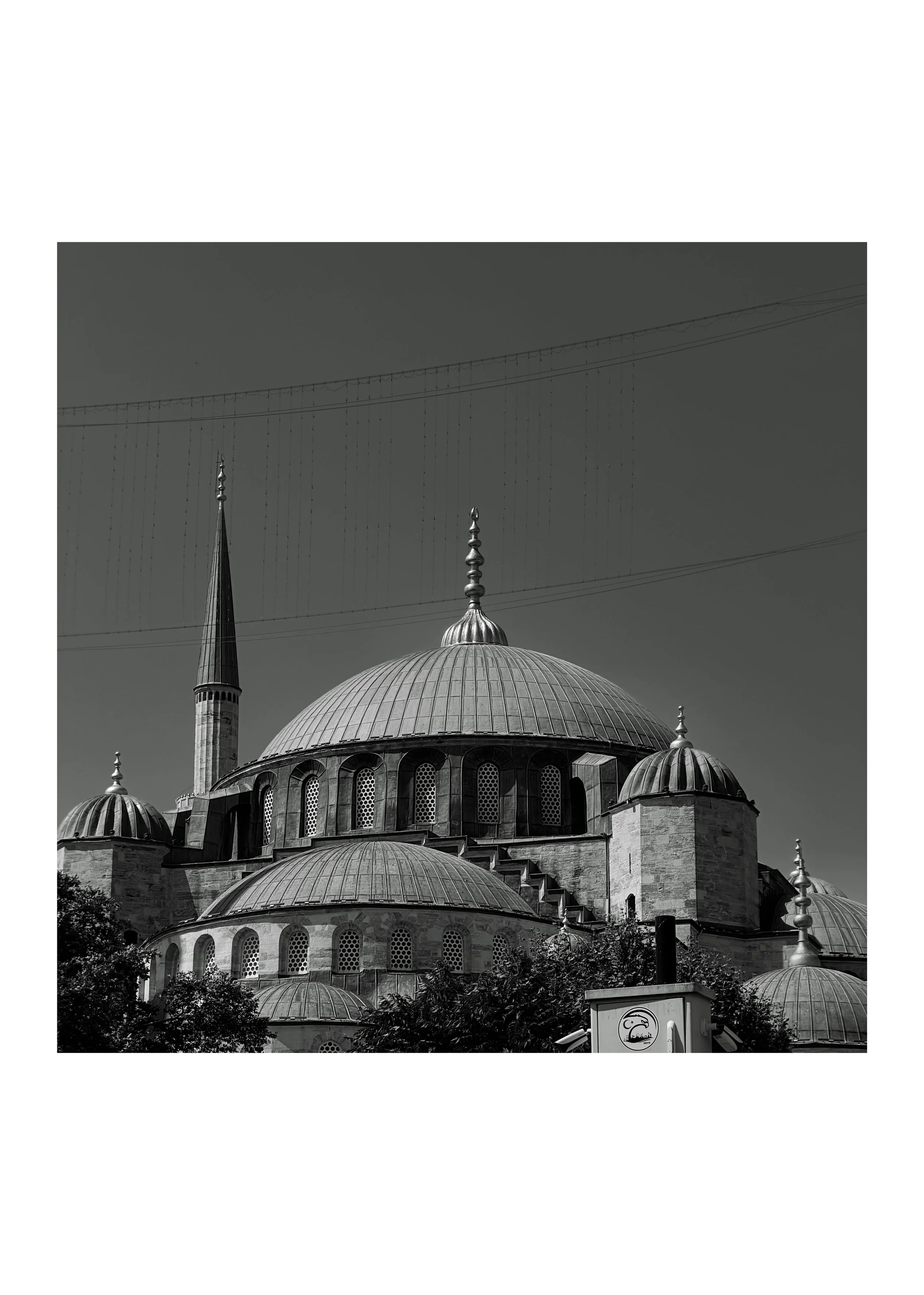 IMG_0982_polarr.JPEG