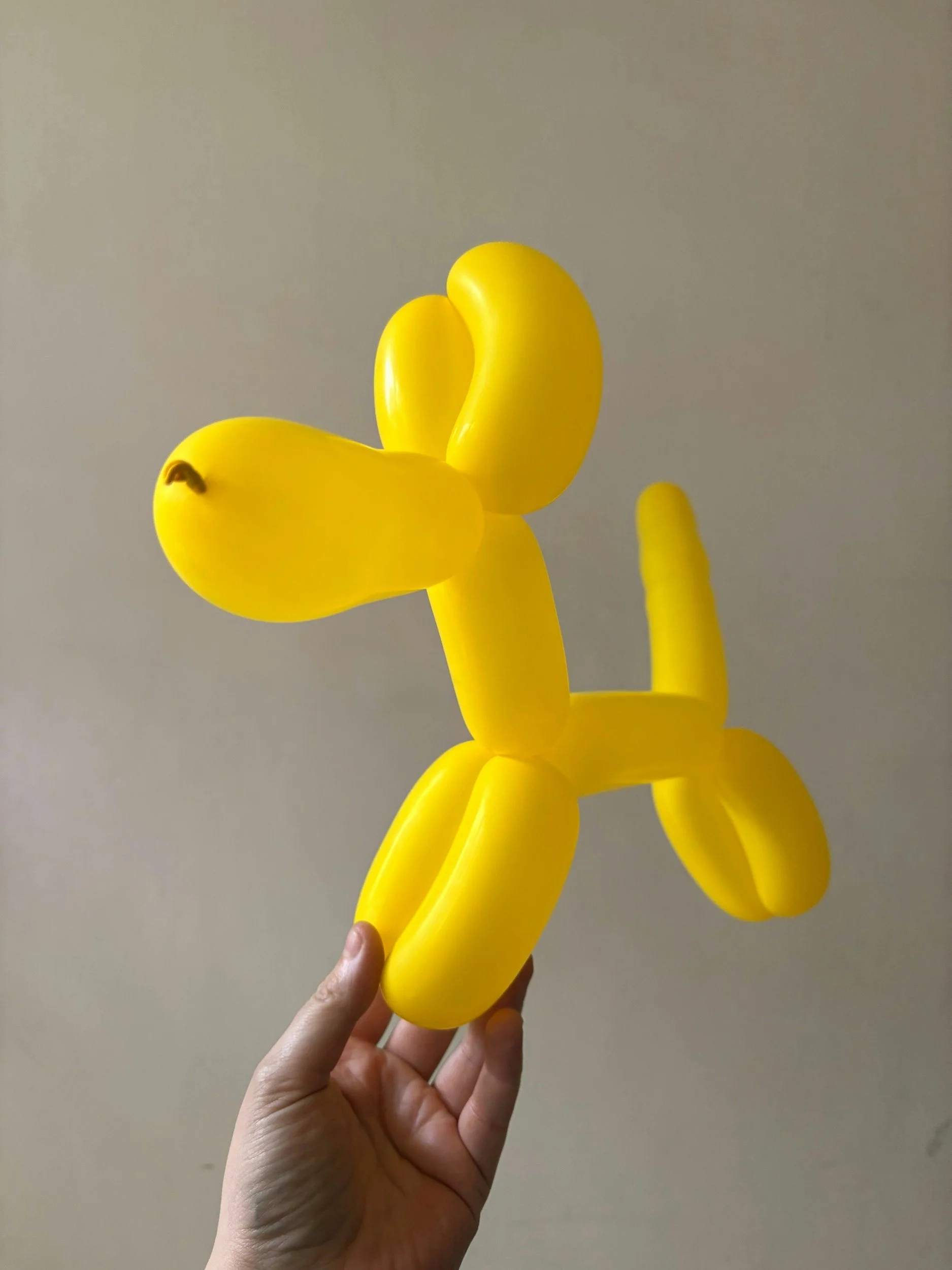 Yellow balloon animal shaped like a dog being held by a person's hand against a plain wall.