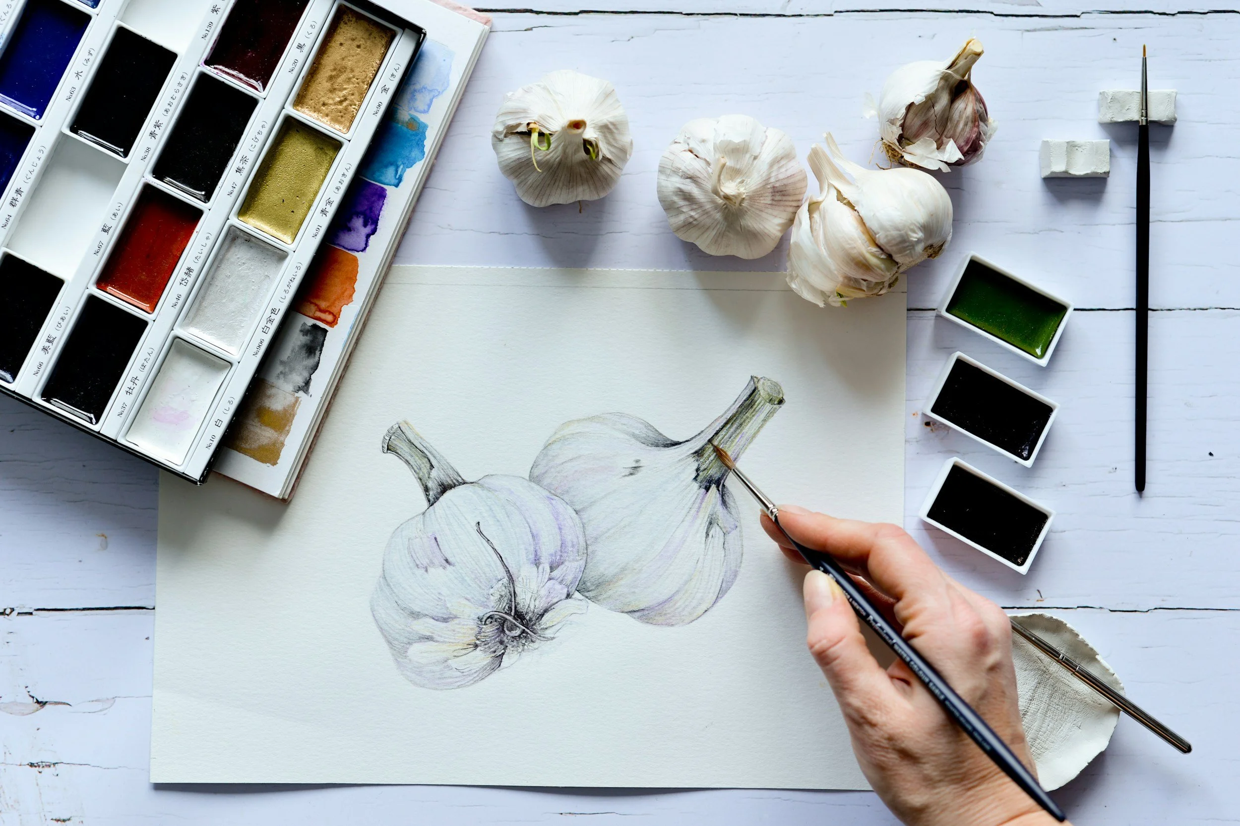 Hand of an artist painting a garlic bulb on watercolor paper with watercolor paints and brushes on a white wooden table.