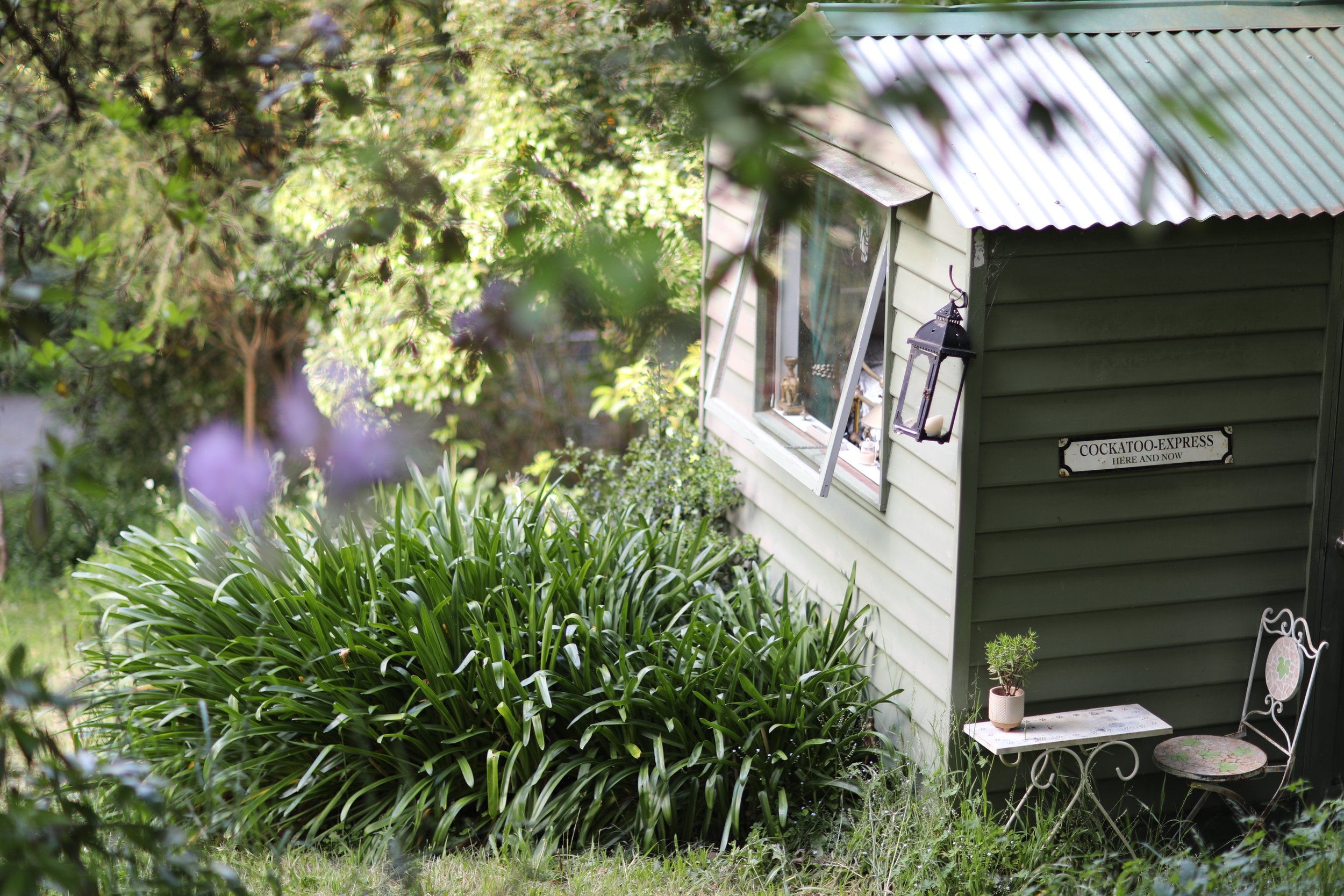 A small light green wooden garden house with a corrugated metal roof, partially obscured by foliage and purple flowers, with a sign that reads 'Cockatoo-Express Here and Now', and a small white table with a pink flower design, a potted plant, and a metal chair with a matching pink flower design.