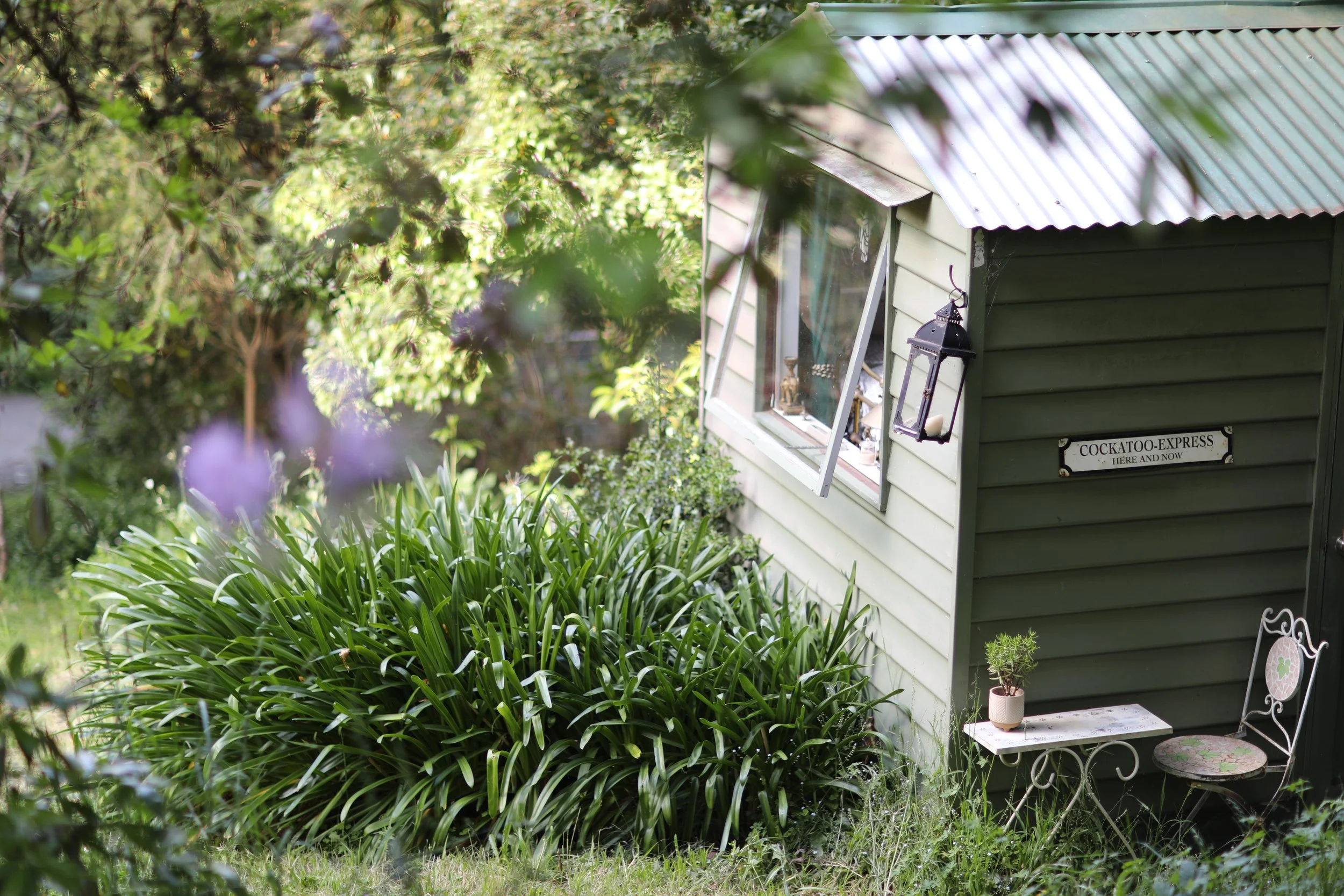 A small green tiny house with a sign reading 'Cockatoo Express Here and Now' mounted on the front, surrounded by lush green plants and trees, with a small bench and decorative items nearby.
