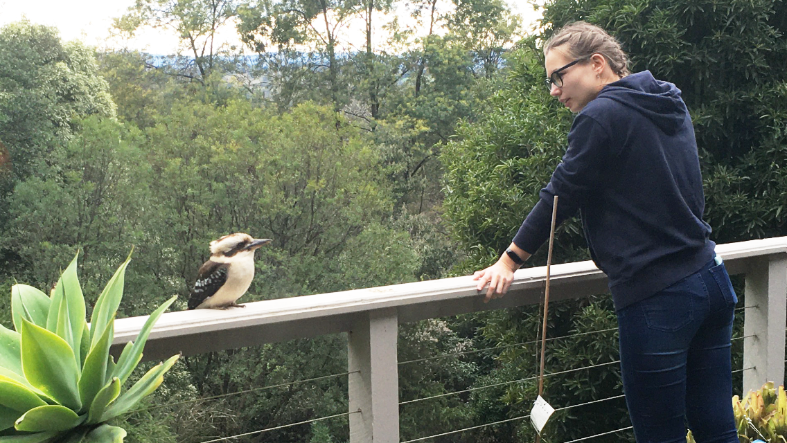 A woman with glasses and a navy hoodie leaning over a balcony bonding with a kookaburra bird on the railing. The background features green trees and a cloudy sky.