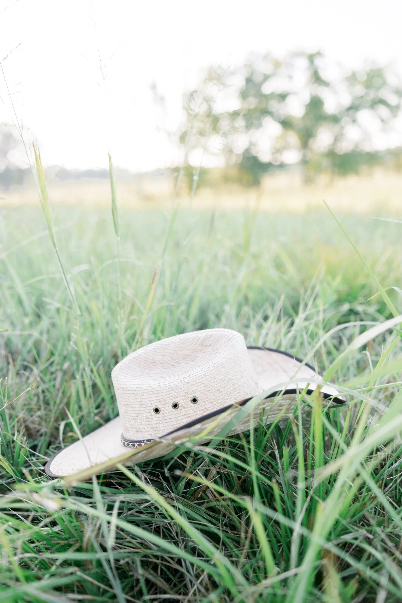 A beige cowboy hat resting on green grass in a field with blurred trees in the background.