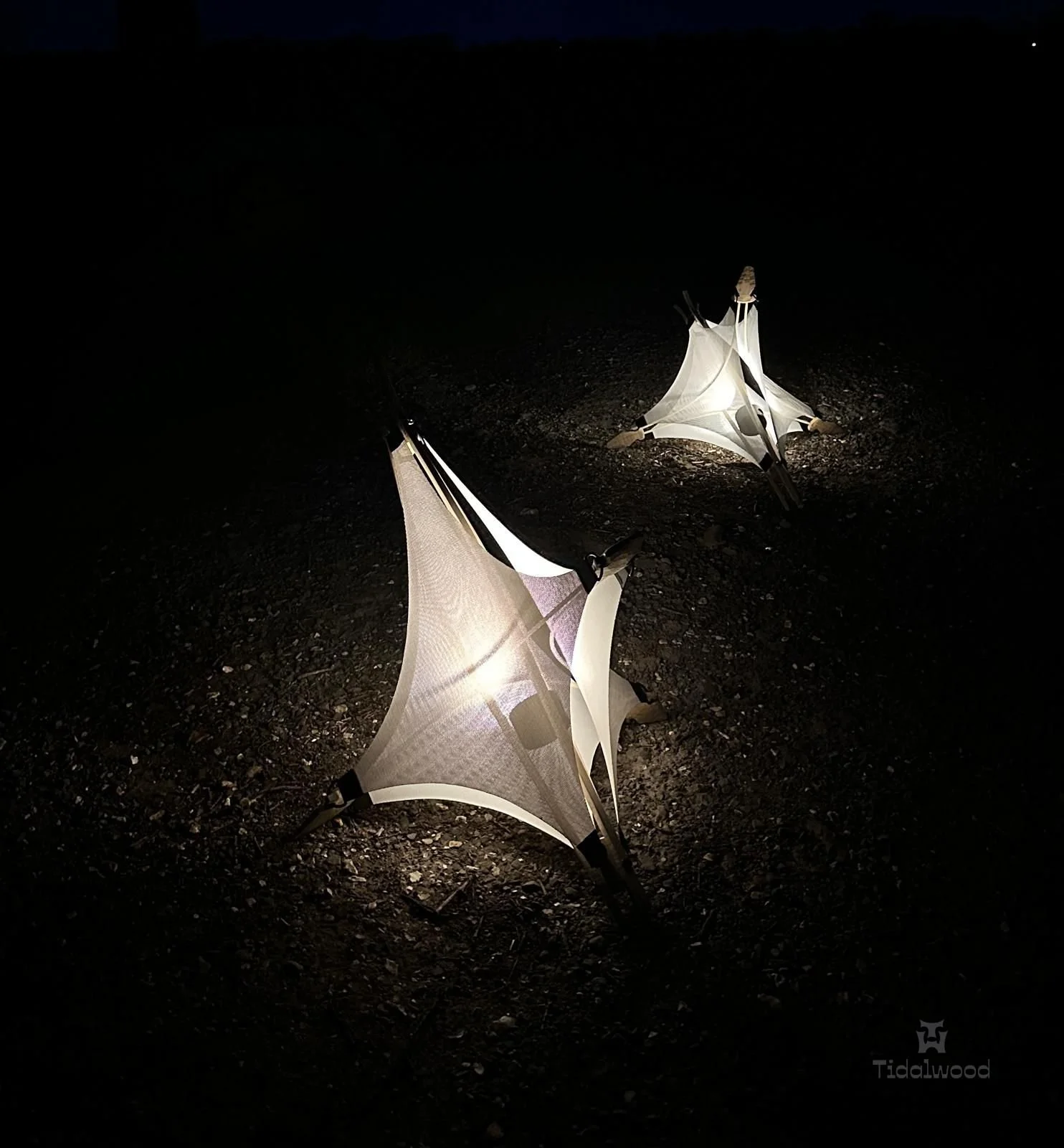 CanopyLamps with LED lighting