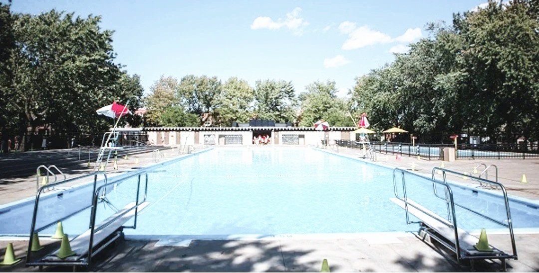 Empty outdoor swimming pool with ladders, umbrellas, and trees in the background on a sunny day.