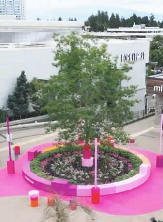 Tree surrounded by a circular, pink and purple flower bed with pink poles, located in an urban area with buildings and trees in the background.