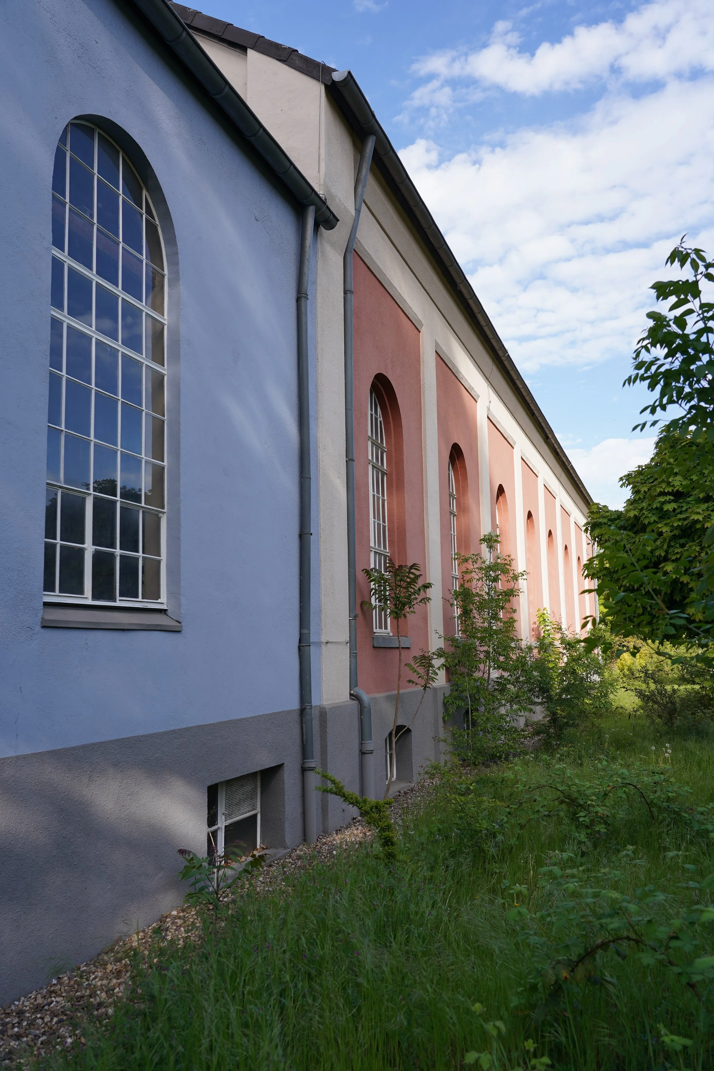 Blick auf dasseitige Hauswand mit bunten Fassaden, großen arched Fenstern, Wasserrohren und Baum im Vordergrund, grünen Pflanzen und Rasen im unteren Bereich, blauer Himmel mit wenigen Wolken im Hintergrund.