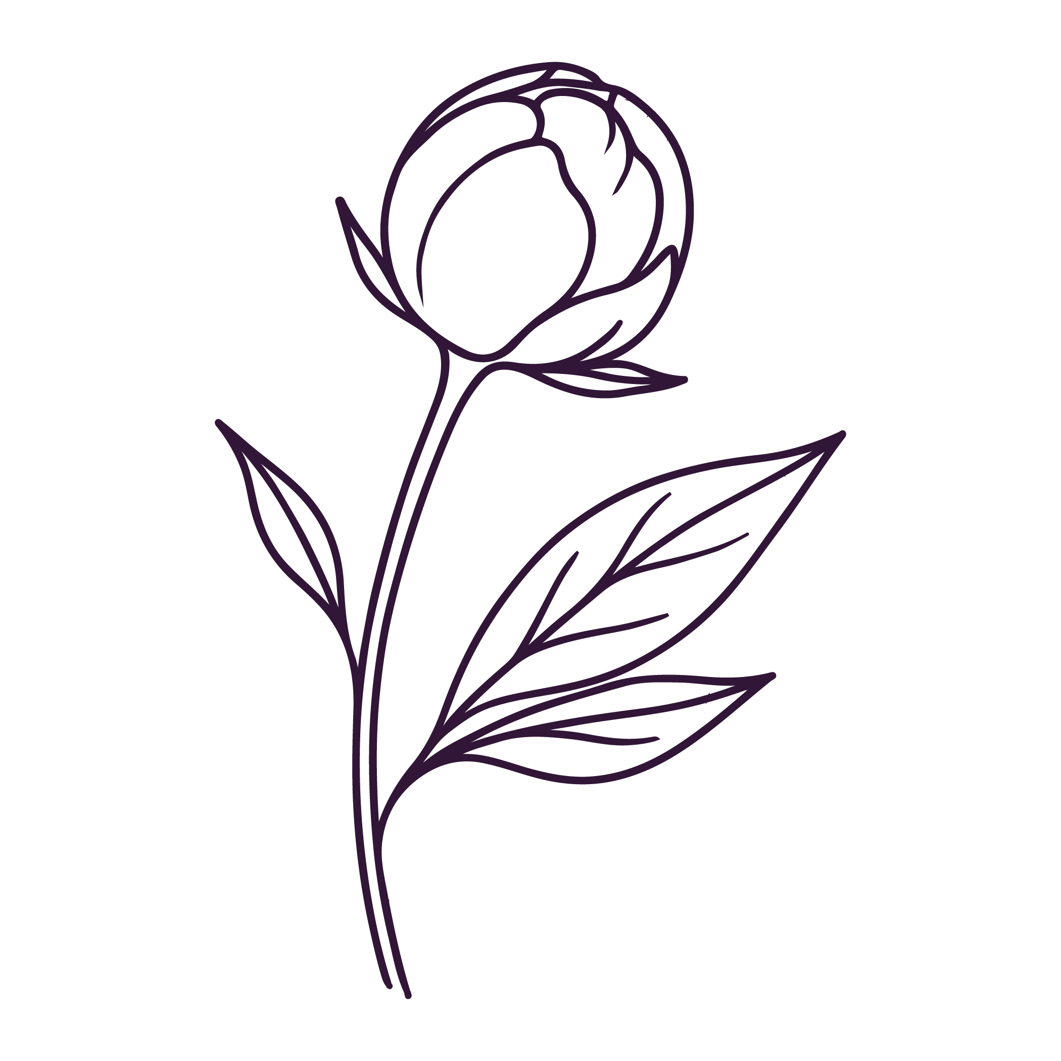 A minimalist line drawing of a rose with leaves, in purple outline.