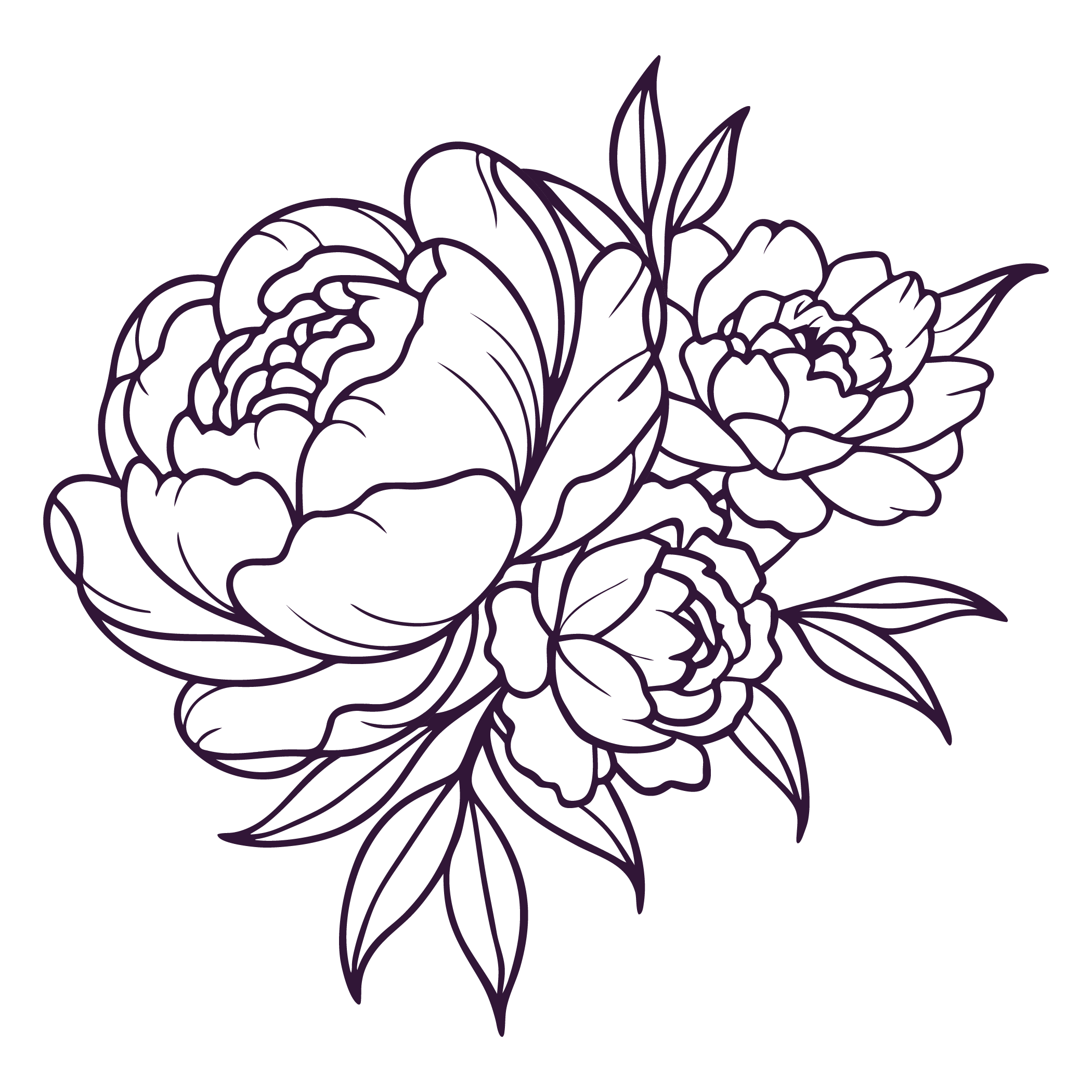 Outline drawing of a peony flower with multiple petals and leaves on a black background.