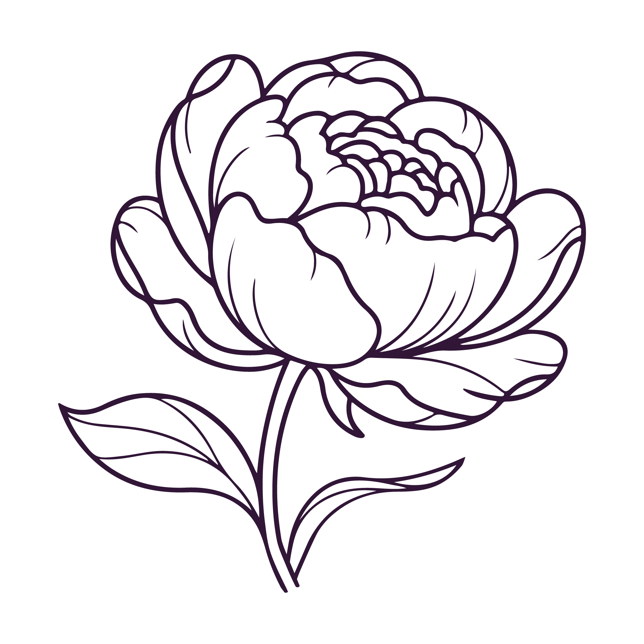 A line drawing of a blooming flower, possibly a rose, on a black background.