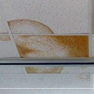Damage due to Roof Leaks
