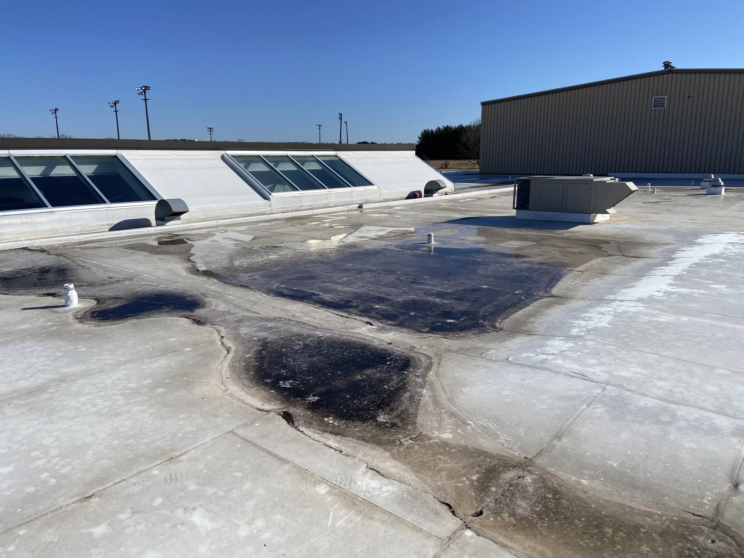 Roof and Skylights Need Replacement