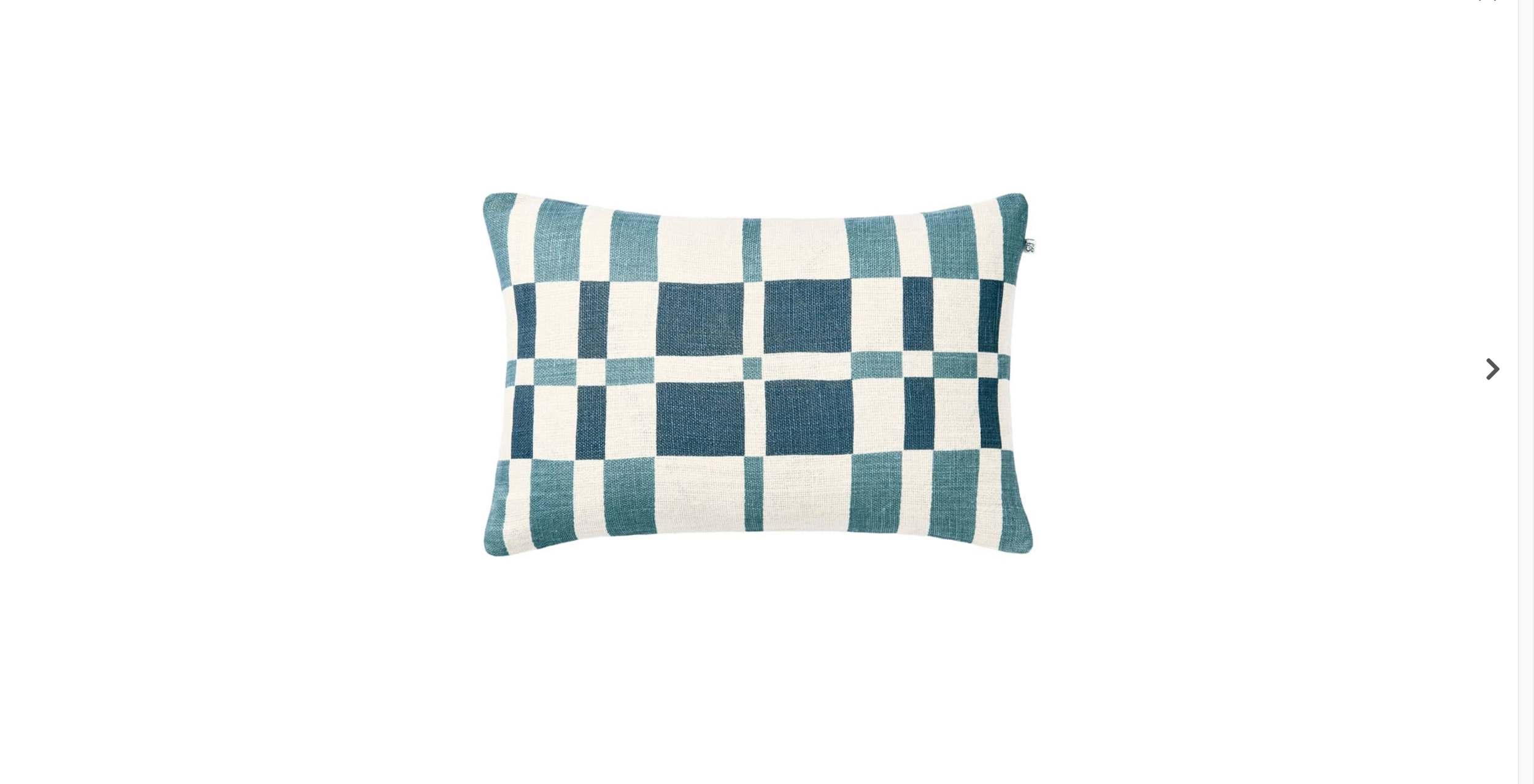 Avi Linen Cushion Cover