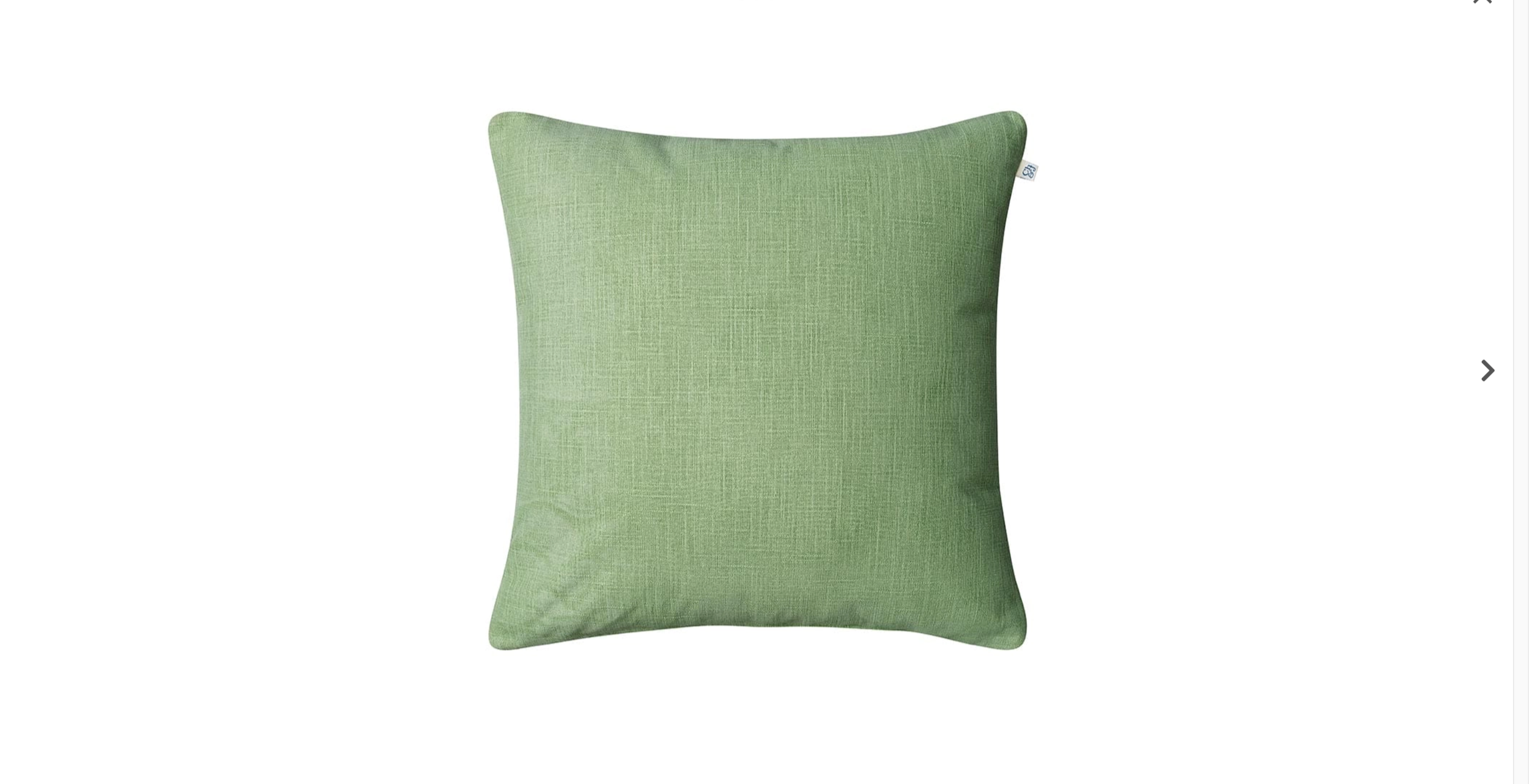 Pani Outdoor Cushion