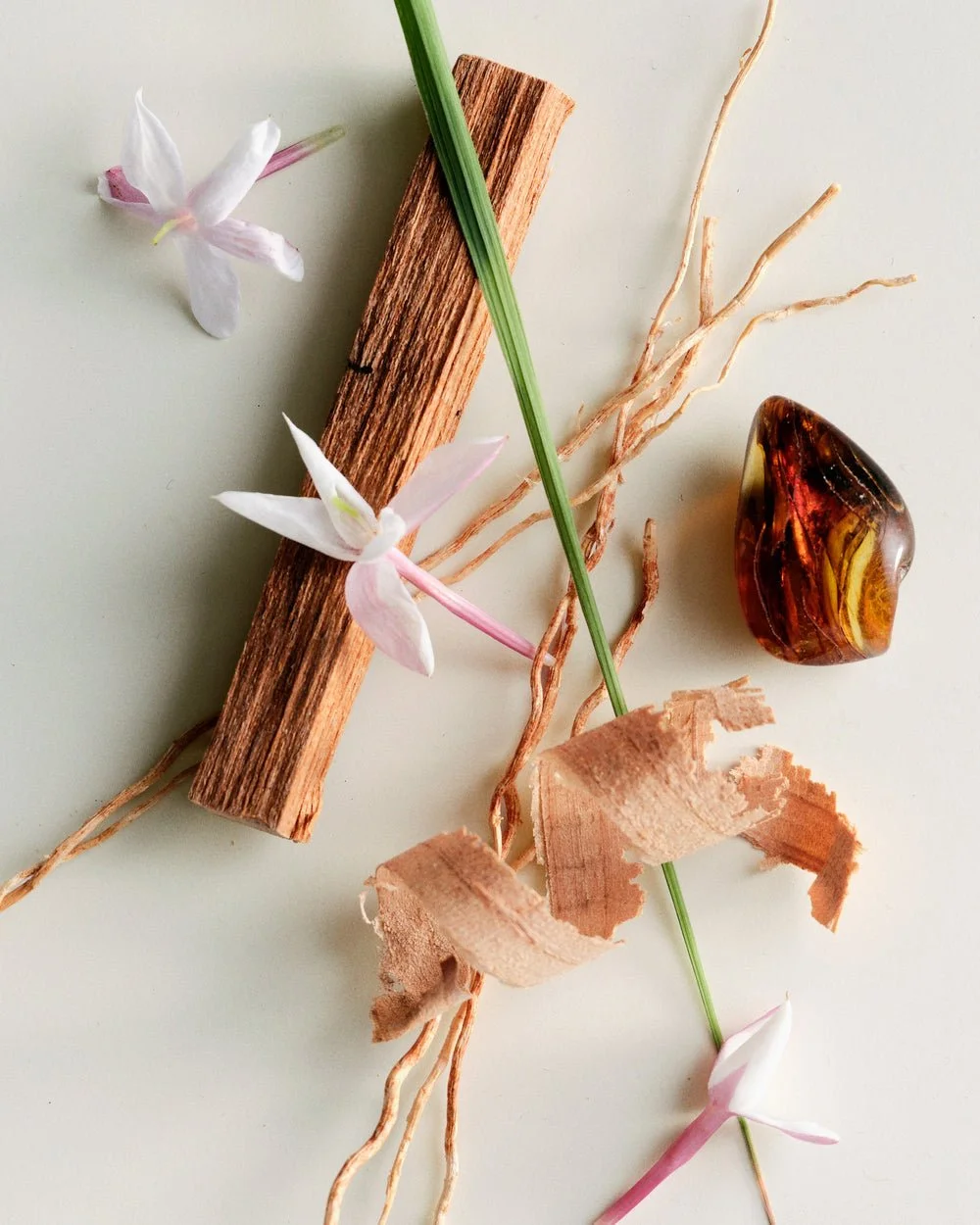 AS_MLM_Ingredients_BoisdeBalincourt_4x5_f4640ca4-d428-4898-89c1-363010487249.jpg