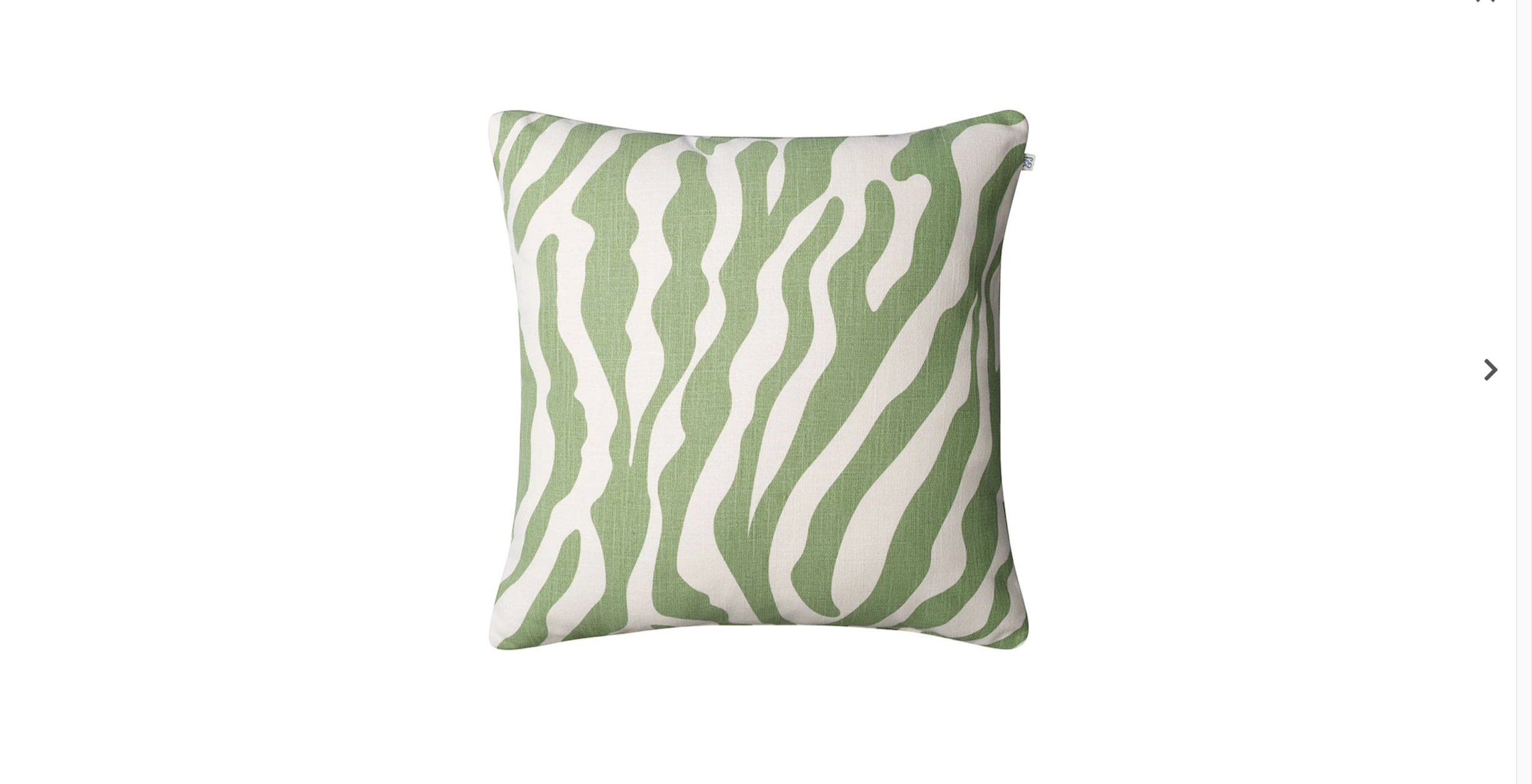 Zebra Outdoor Cushion