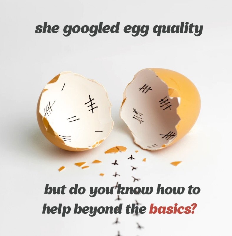 When a client searches for egg quality information, she typically finds content about CoQ10, DHEA, and antioxidants and at a layer deeper &lsquo;MTHFR&rsquo; and the inevitable first instagram post from a practitioner on active b vitamins. That infor