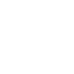 Icon of a capsule pill, half white and half black.