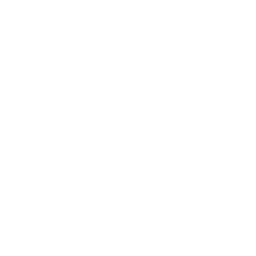 Icon of a person in front of a laptop screen
