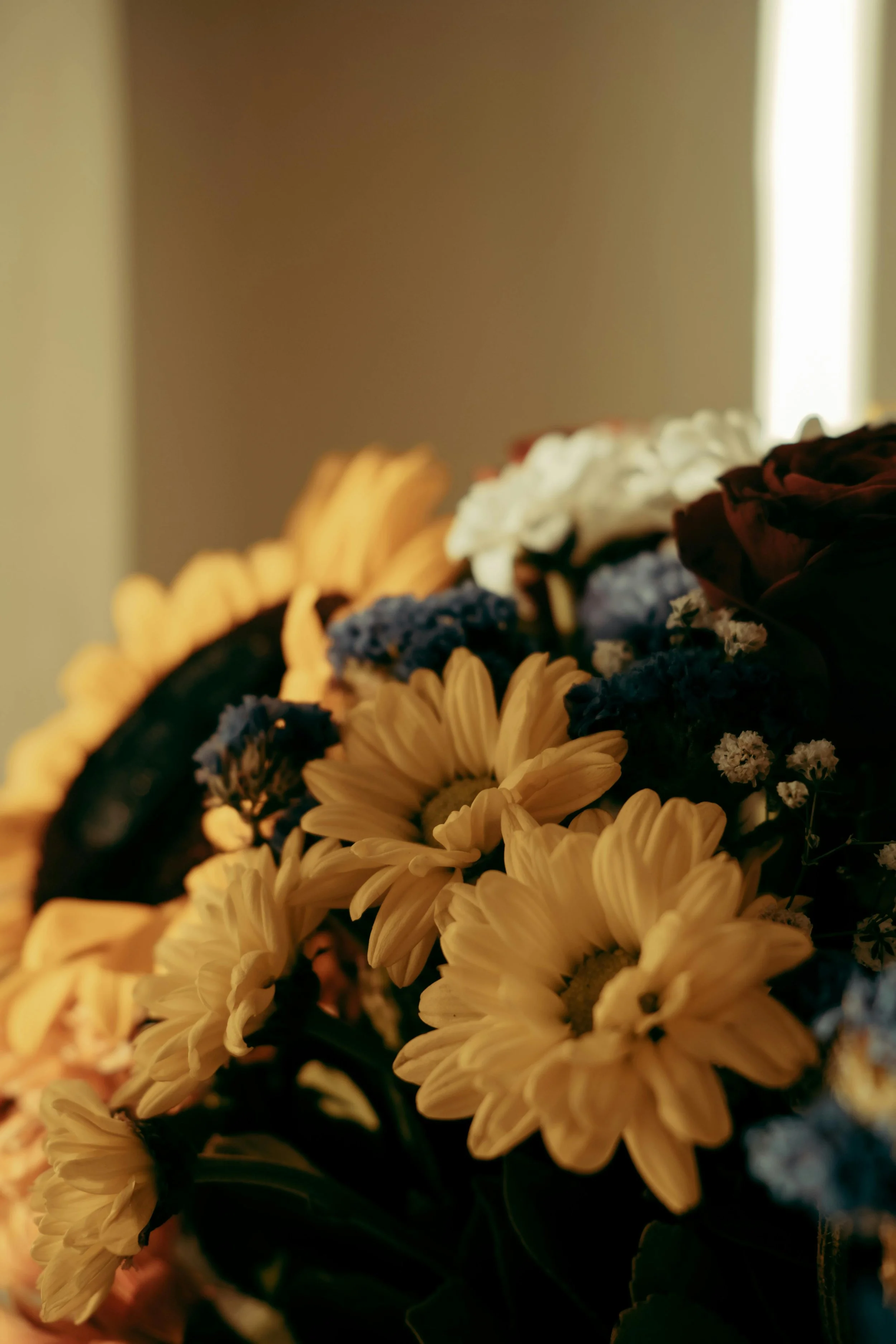 Close-up of a bouquet of white and yellow flowers with some purple and dark red flowers, blurred background with a window and beige wall.