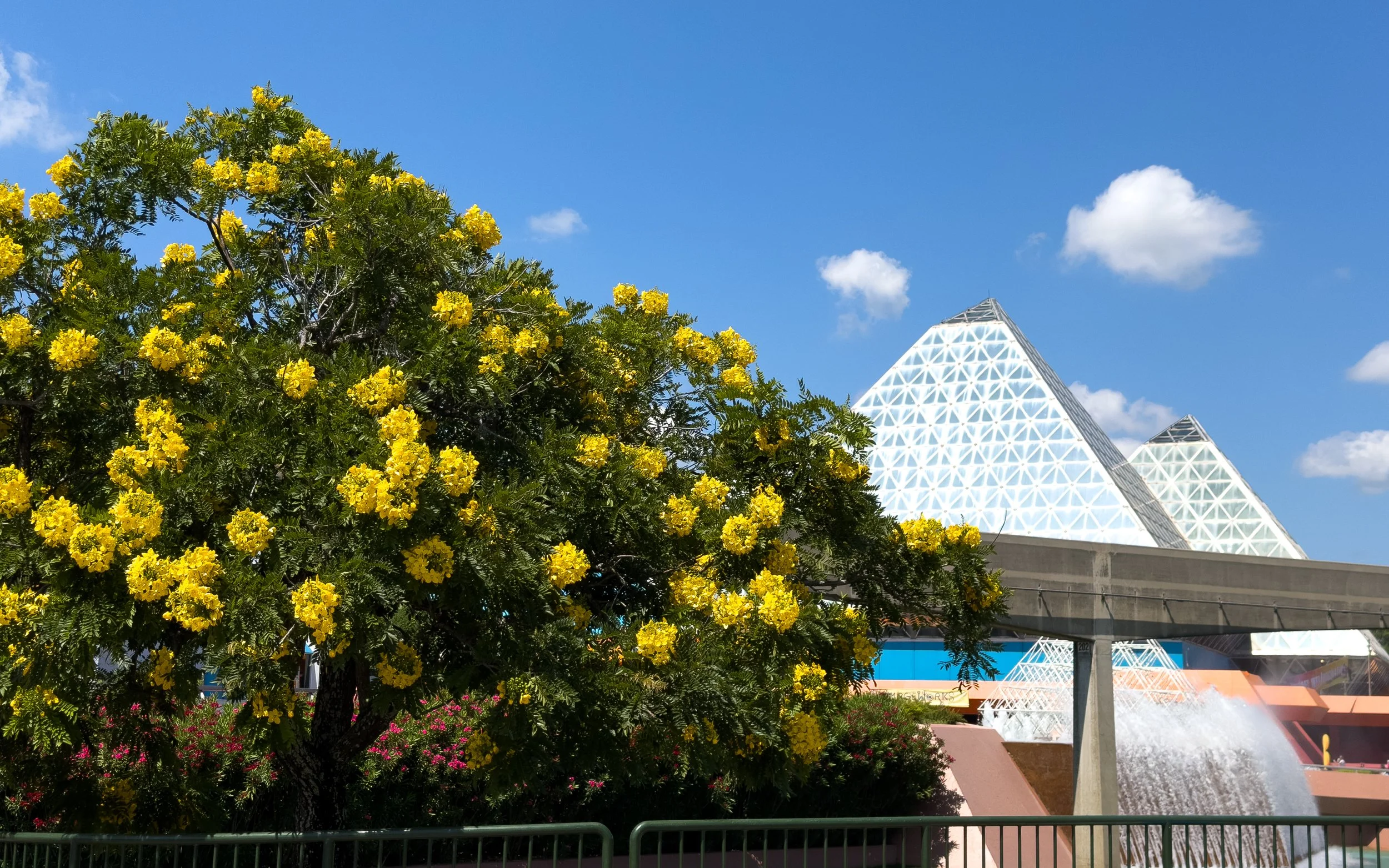 Disney6(1) - Copy.jpg