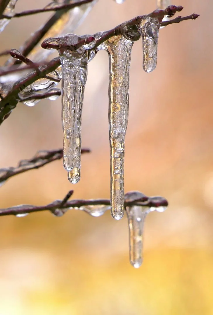 Embracing Cold with the Body in Mind: Somatic Strategies for Staying Warm, Present, and Energized