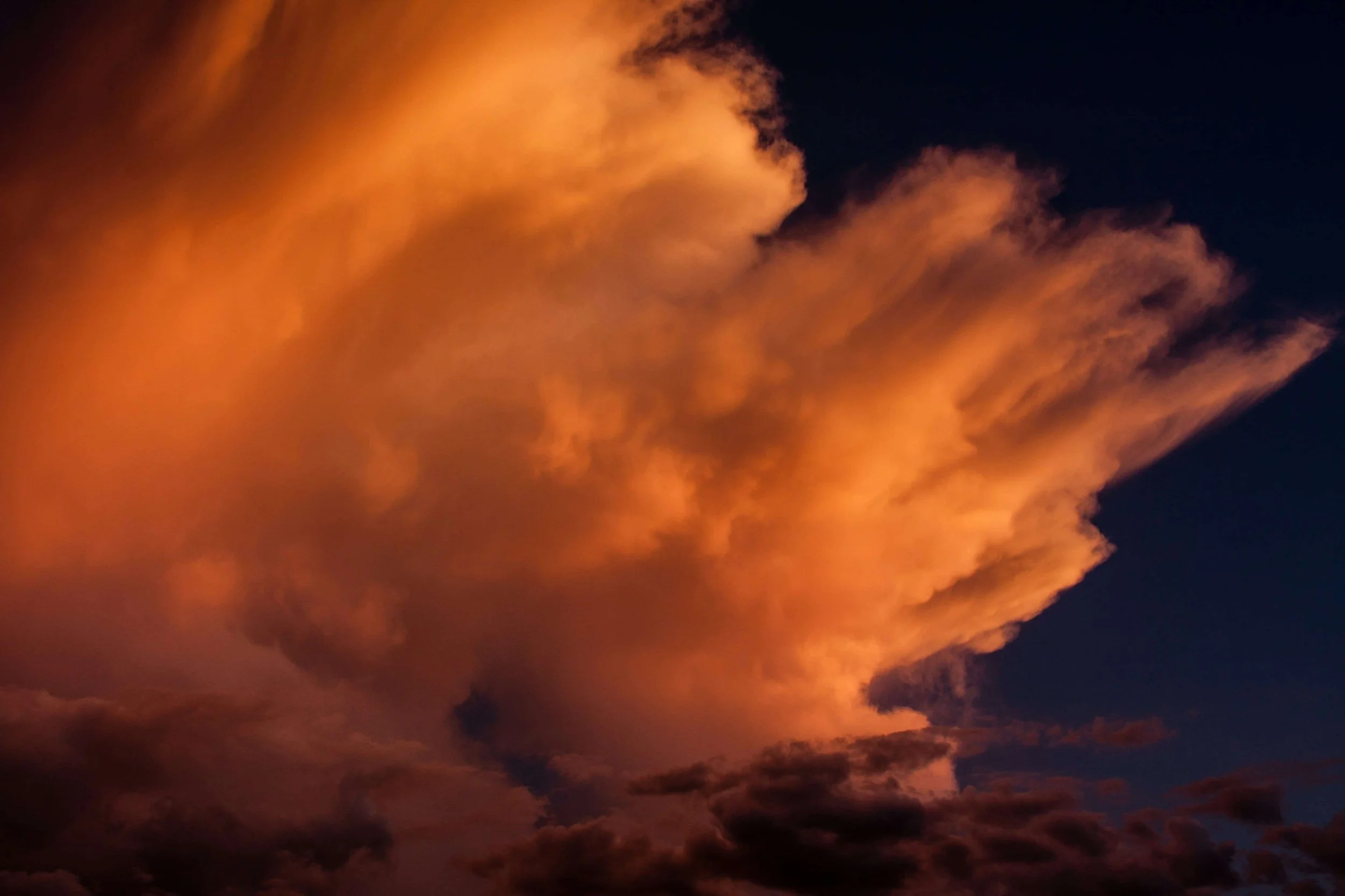 Solastalgia and Climate Anxiety: How Climate Change Affects Our&nbsp;Emotional Connection to Home