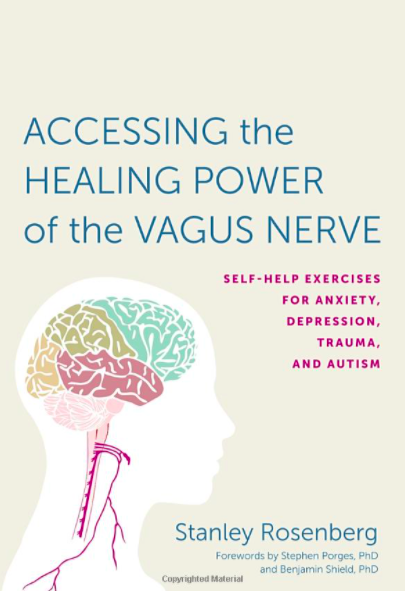Accessing the Healing Power of the Vagus Nerve by Stanley Rosenberg 