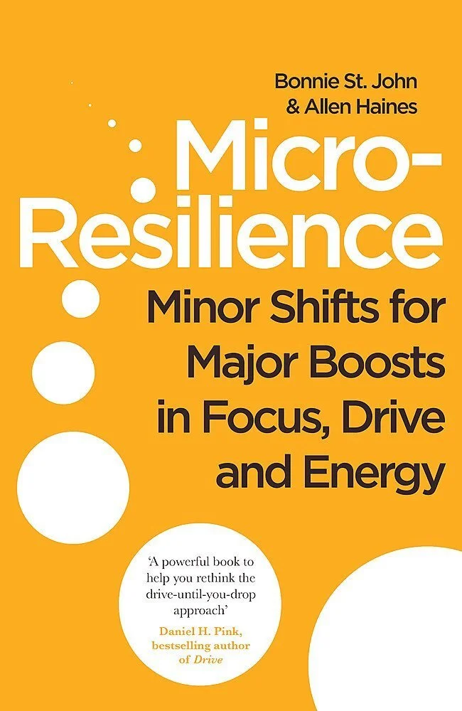 Micro-Resilience by Bonnie St. John 